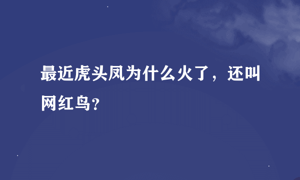 最近虎头凤为什么火了，还叫网红鸟？