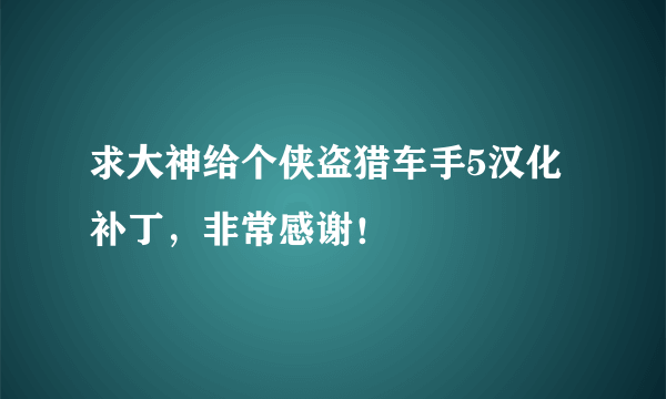 求大神给个侠盗猎车手5汉化补丁，非常感谢！