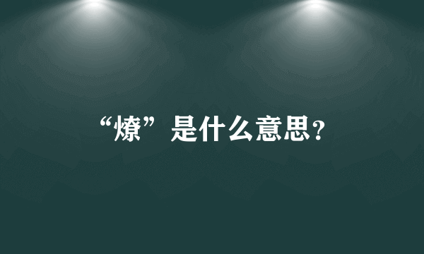 “燎”是什么意思？