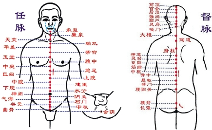 有“督脉和任脉”的准确位置图吗？