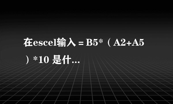 在escel输入＝B5*（A2+A5）*10 是什么意思？