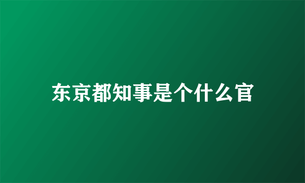 东京都知事是个什么官