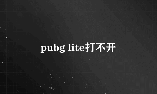 pubg lite打不开