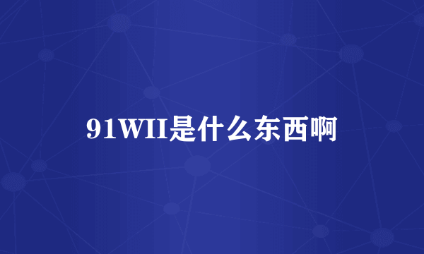 91WII是什么东西啊