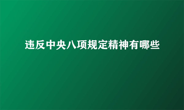 违反中央八项规定精神有哪些