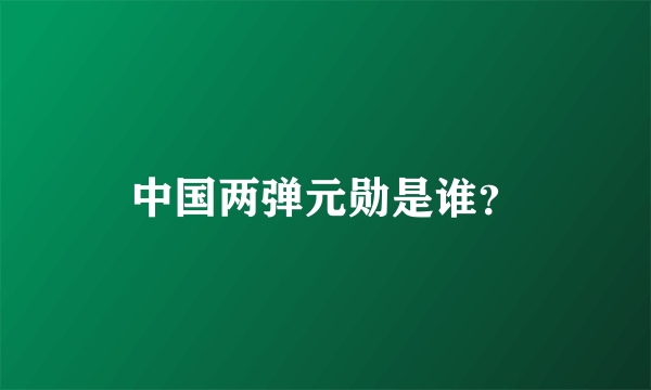 中国两弹元勋是谁？