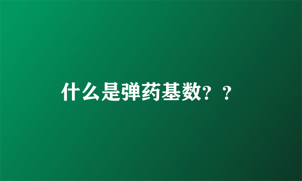 什么是弹药基数？？