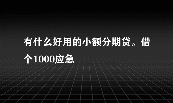 有什么好用的小额分期贷。借个1000应急