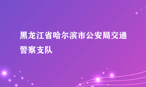 黑龙江省哈尔滨市公安局交通警察支队