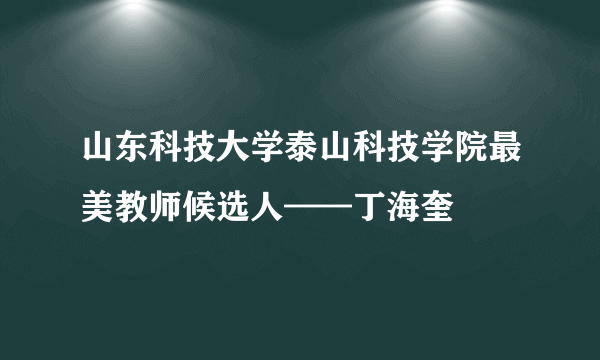 山东科技大学泰山科技学院最美教师候选人——丁海奎