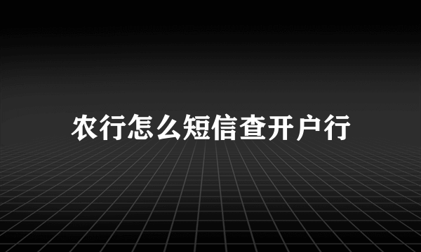 农行怎么短信查开户行