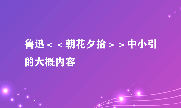 鲁迅＜＜朝花夕拾＞＞中小引的大概内容