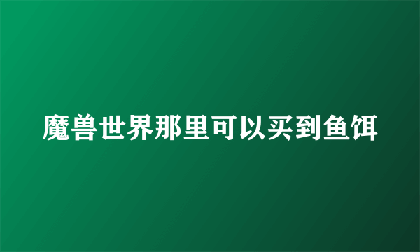 魔兽世界那里可以买到鱼饵