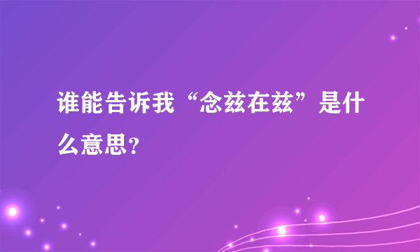 谁能告诉我“念兹在兹”是什么意思？