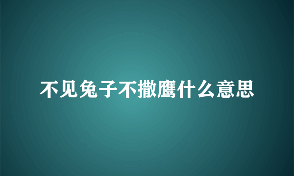 不见兔子不撒鹰什么意思