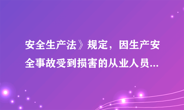 安全生产法》规定，因生产安全事故受到损害的从业人员，除依法享有工伤保险外，依照有关民事法律尚有获得