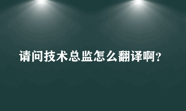 请问技术总监怎么翻译啊？