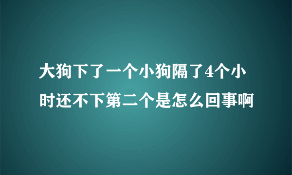 大狗下了一个小狗隔了4个小时还不下第二个是怎么回事啊