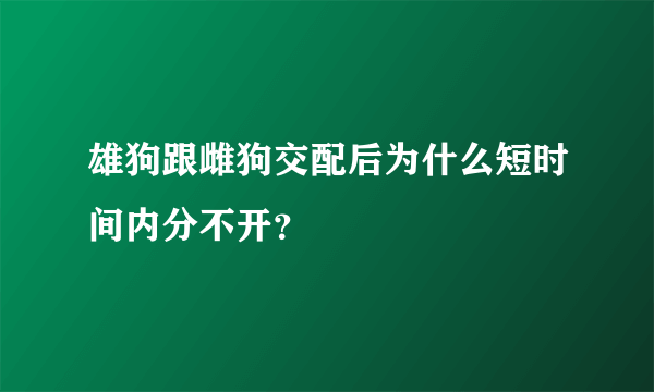 雄狗跟雌狗交配后为什么短时间内分不开？