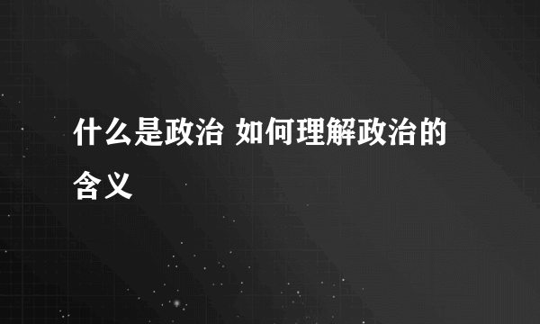 什么是政治 如何理解政治的含义