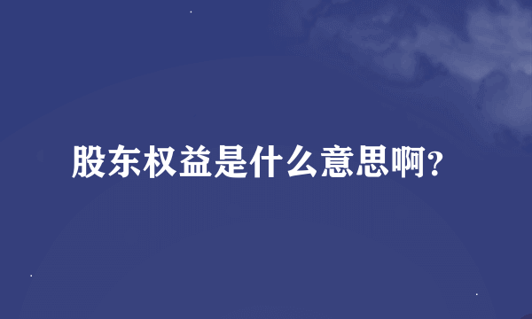 股东权益是什么意思啊？