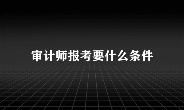 审计师报考要什么条件