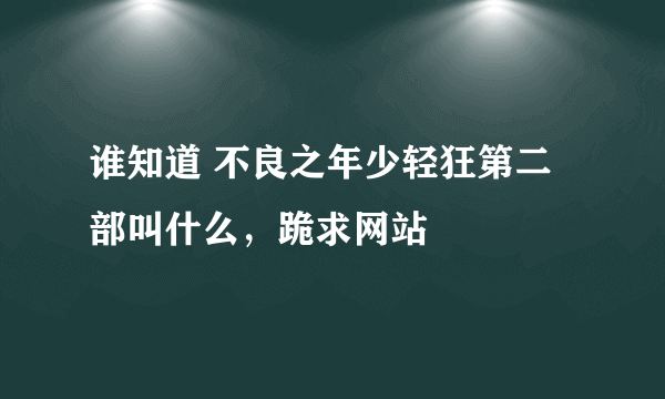 谁知道 不良之年少轻狂第二部叫什么，跪求网站