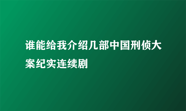 谁能给我介绍几部中国刑侦大案纪实连续剧