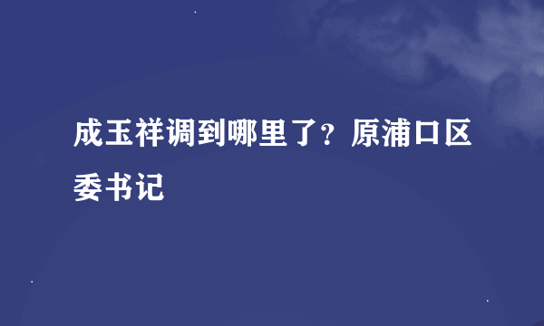 成玉祥调到哪里了？原浦口区委书记