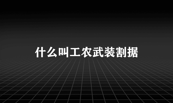 什么叫工农武装割据