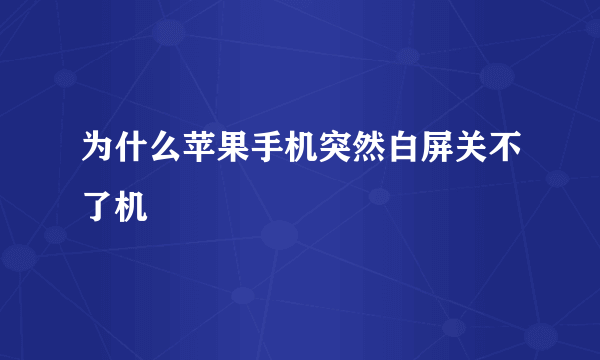 为什么苹果手机突然白屏关不了机