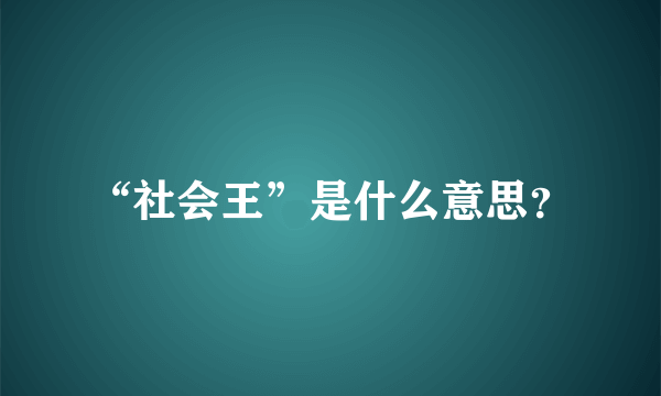 “社会王”是什么意思？