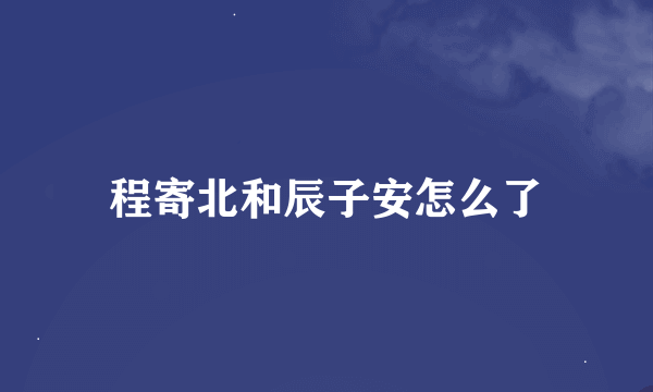 程寄北和辰子安怎么了