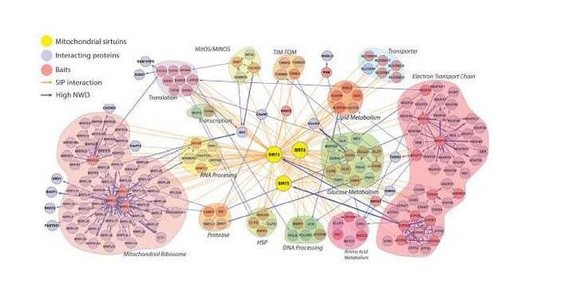 我想知道nmn抗衰老药是真是假？nmn抗衰老是骗局吗？求真相，谢谢