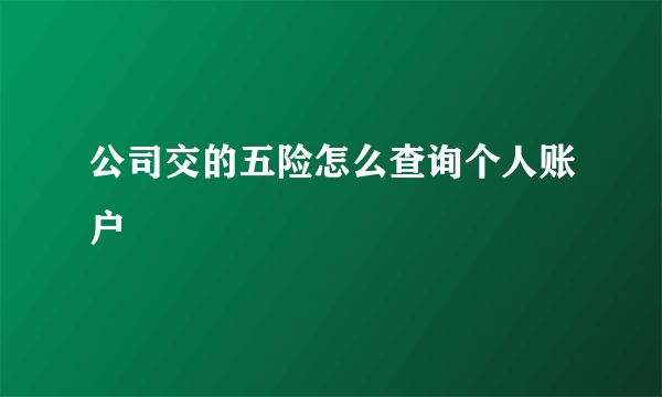 公司交的五险怎么查询个人账户