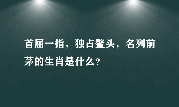 首屈一指，独占鳌头，名列前茅的生肖是什么？