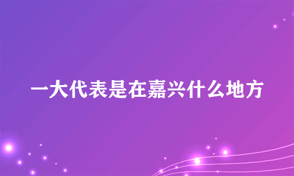 一大代表是在嘉兴什么地方