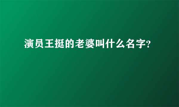 演员王挺的老婆叫什么名字？