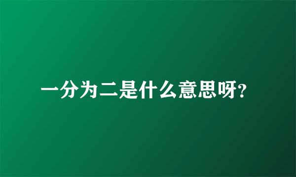 一分为二是什么意思呀？