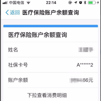 社保账户的余额怎么查询