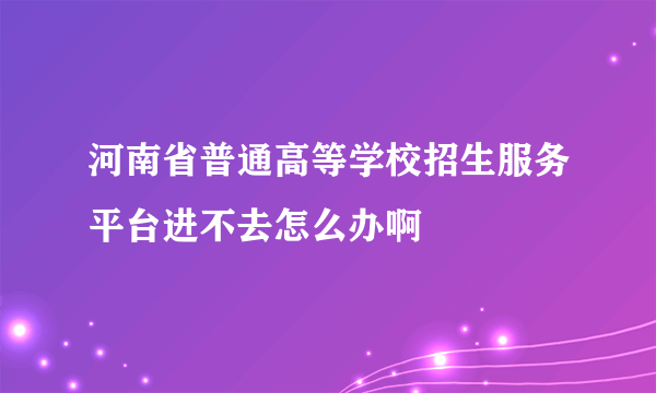 河南省普通高等学校招生服务平台进不去怎么办啊