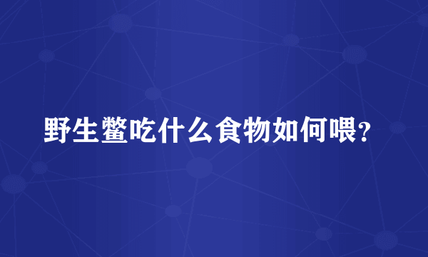 野生鳖吃什么食物如何喂？