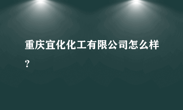 重庆宜化化工有限公司怎么样？