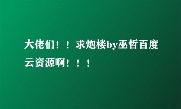 大佬们！！求炮楼by巫哲百度云资源啊！！！