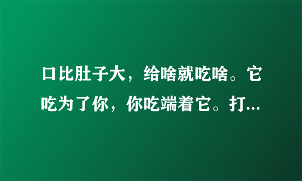 口比肚子大，给啥就吃啥。它吃为了你，你吃端着它。打一日常用品