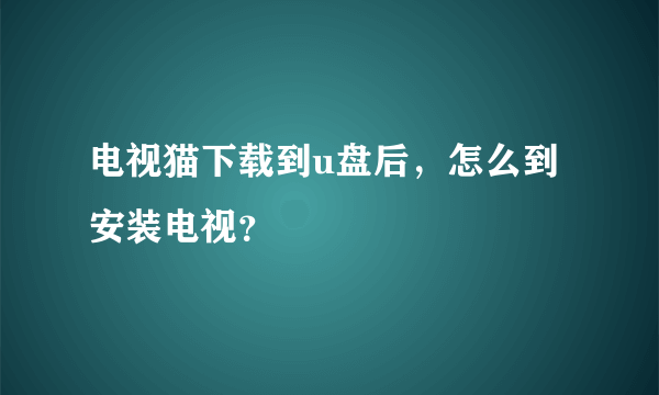 电视猫下载到u盘后，怎么到安装电视？