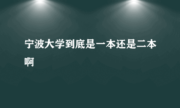 宁波大学到底是一本还是二本啊