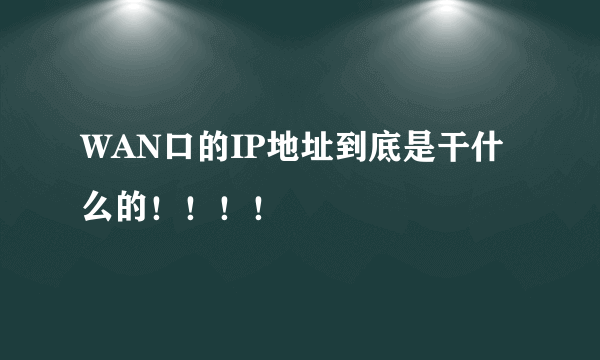 WAN口的IP地址到底是干什么的！！！！