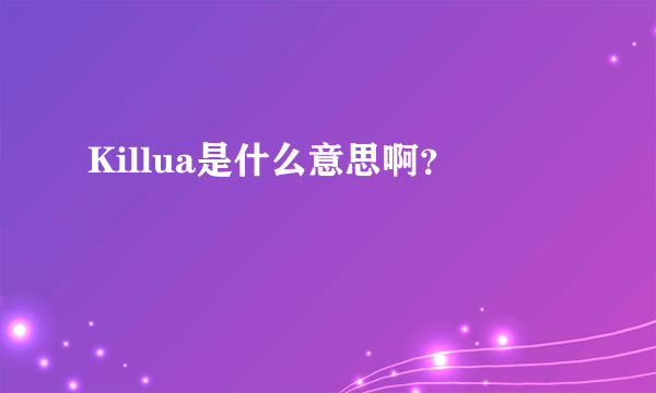 Killua是什么意思啊？