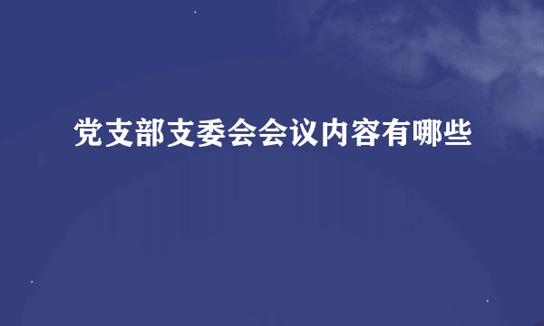 党支部支委会会议内容有哪些